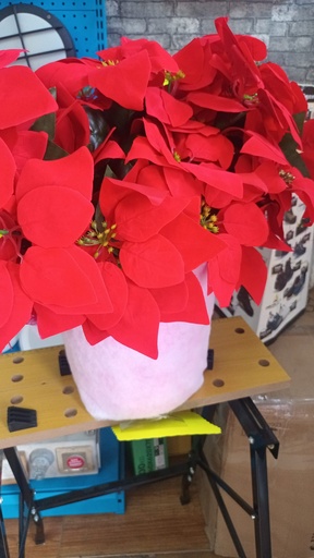 FLOR DE PASCUAS VARITA