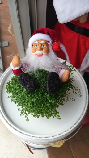 CULANDRILLO PAPA NOEL